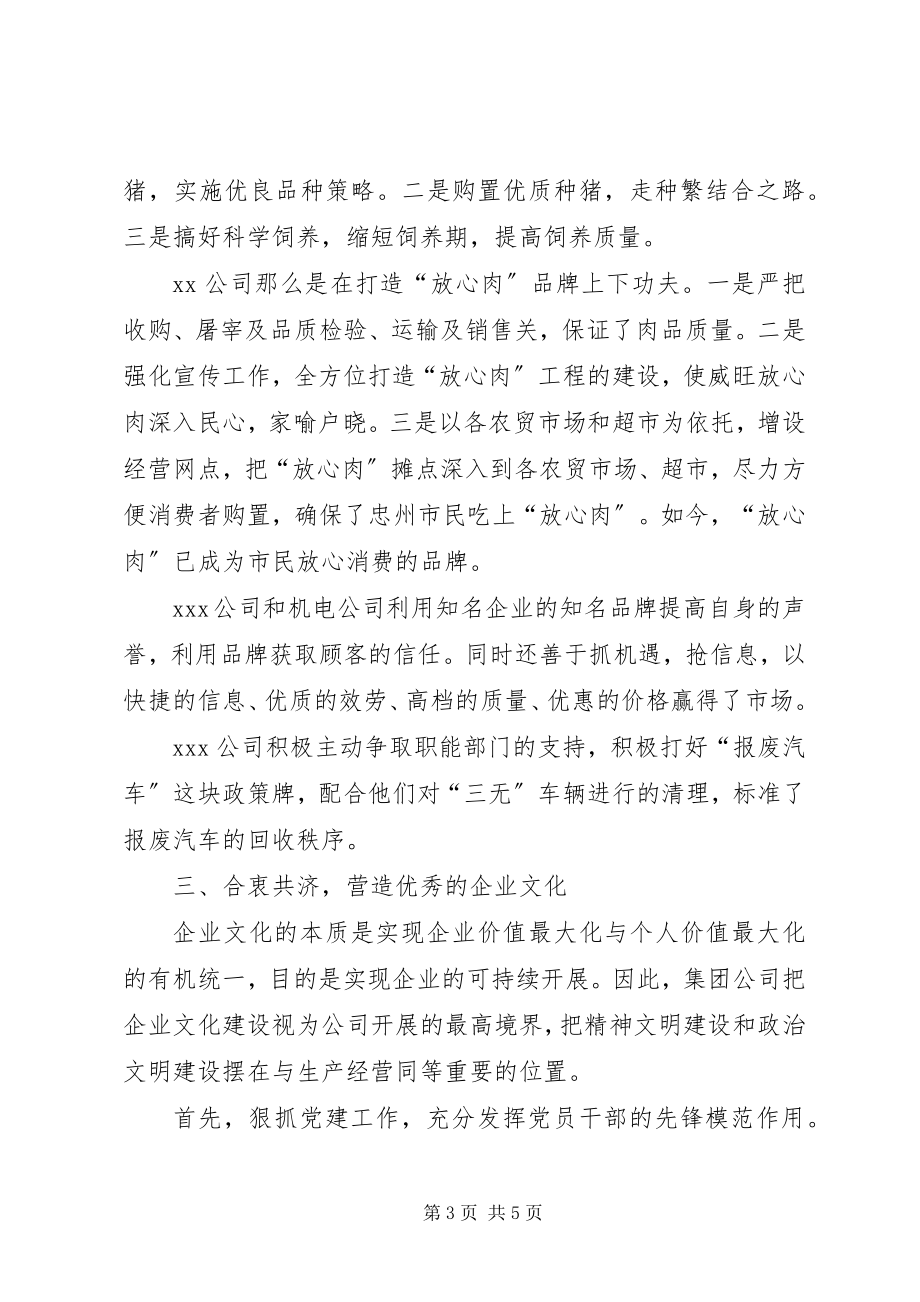 2023年集团企业工作总结.docx_第3页