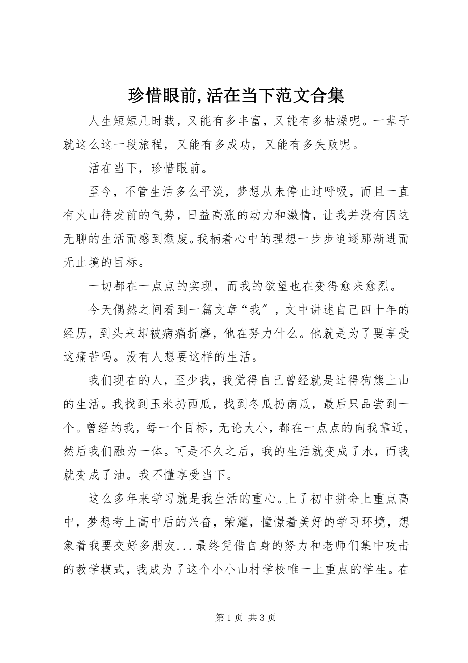 2023年珍惜眼前活在当下合集.docx_第1页