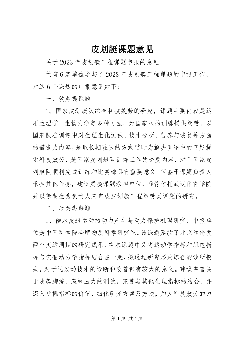 2023年皮划艇课题意见.docx_第1页