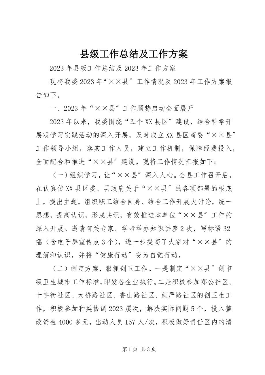 2023年县级工作总结及工作计划.docx_第1页