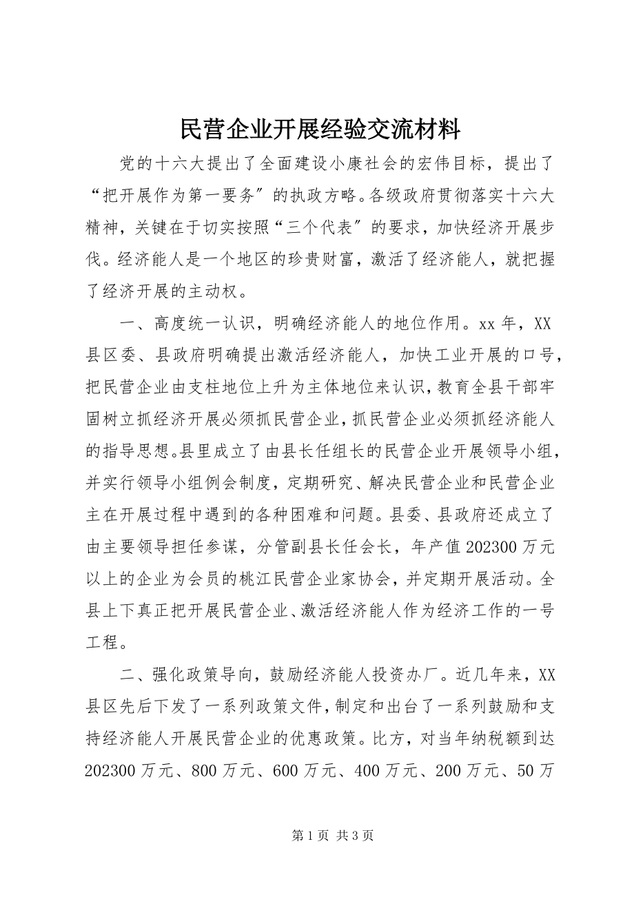 2023年民营企业发展经验交流材料.docx_第1页