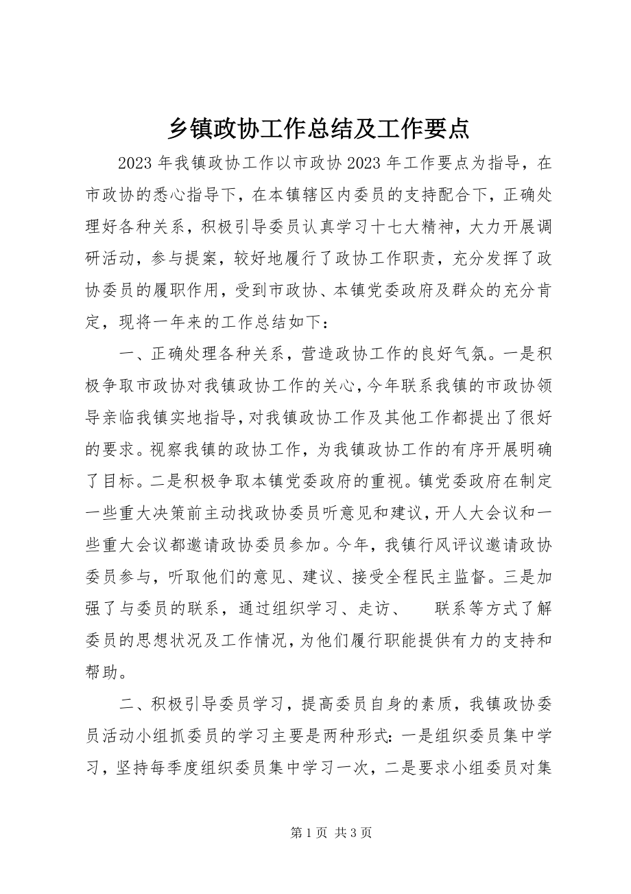 2023年乡镇政协工作总结及工作要点.docx_第1页