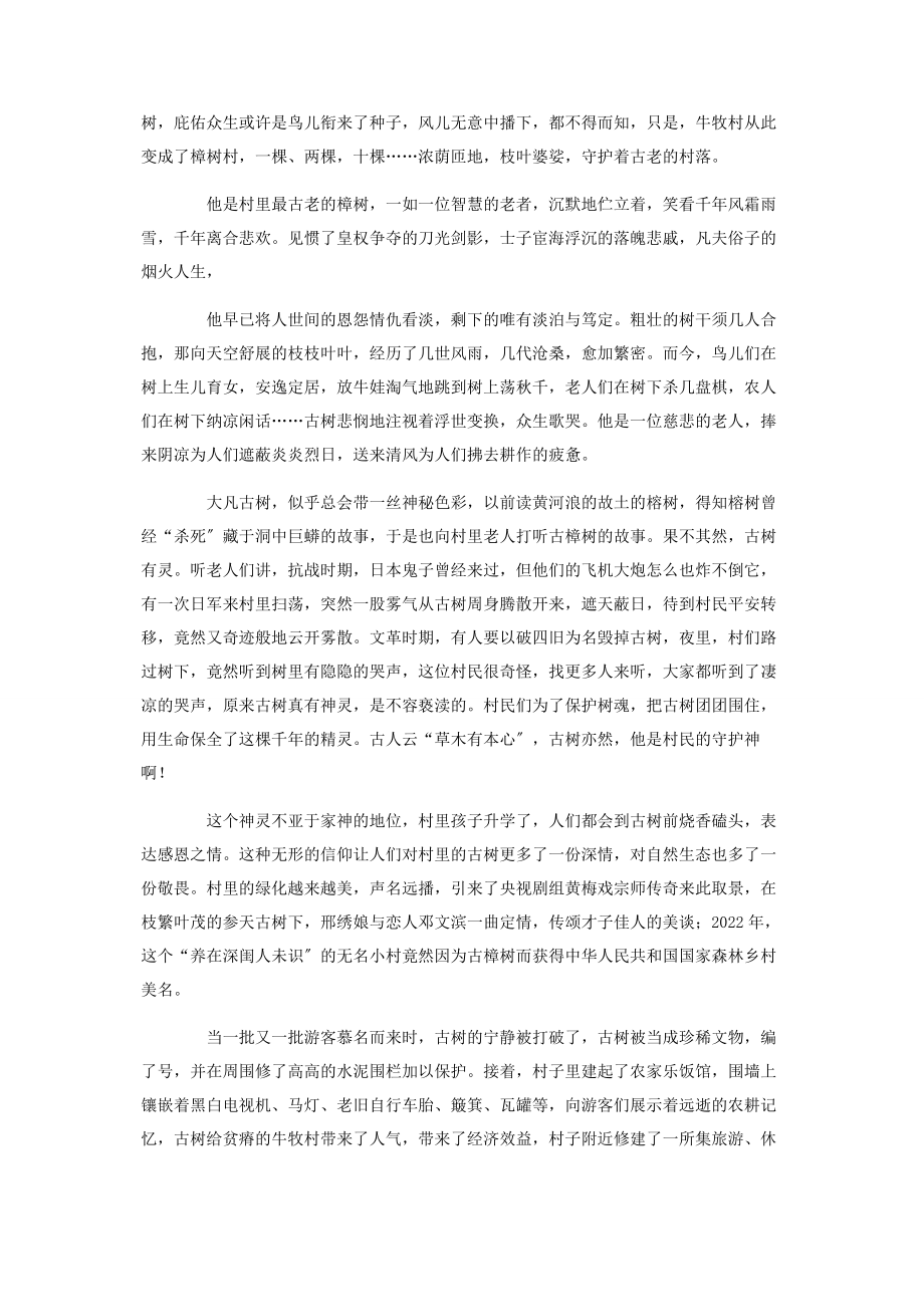 2023年千年古樟魂优秀散文.docx_第2页