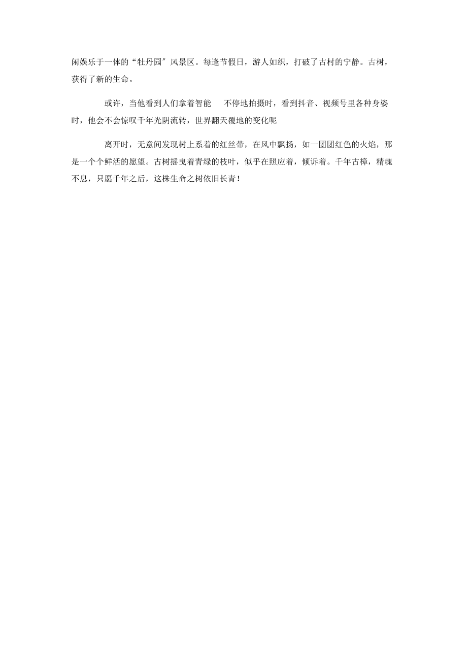 2023年千年古樟魂优秀散文.docx_第3页