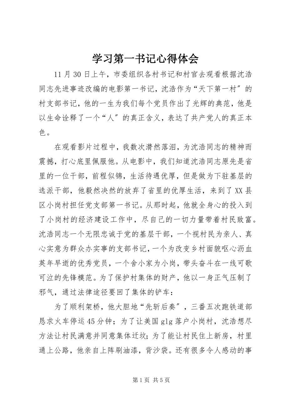 2023年学习第一书记心得体会.docx_第1页