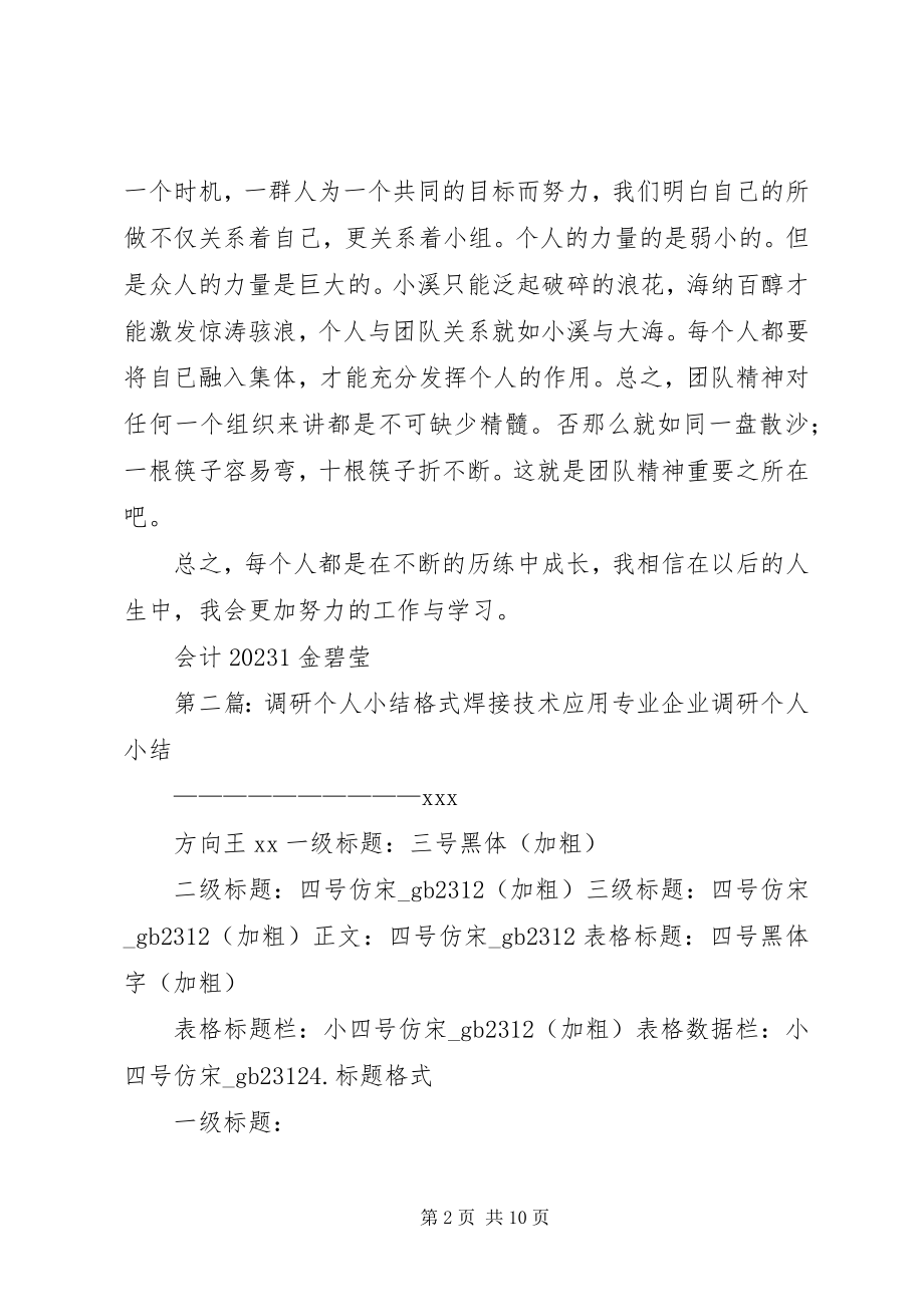 2023年调研工作个人小结.docx_第2页