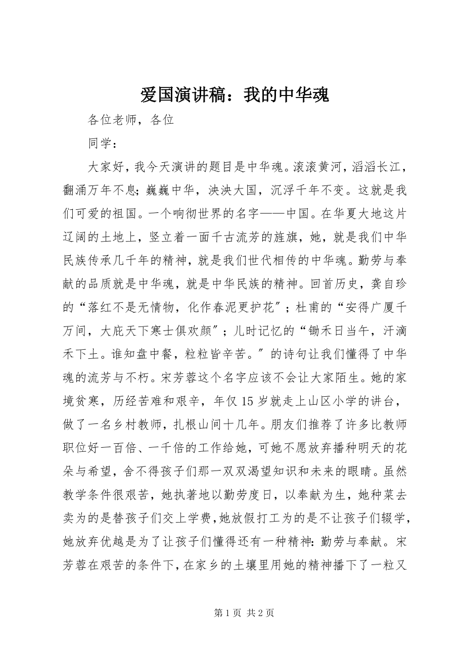 2023年爱国演讲稿我的中华魂新编.docx_第1页