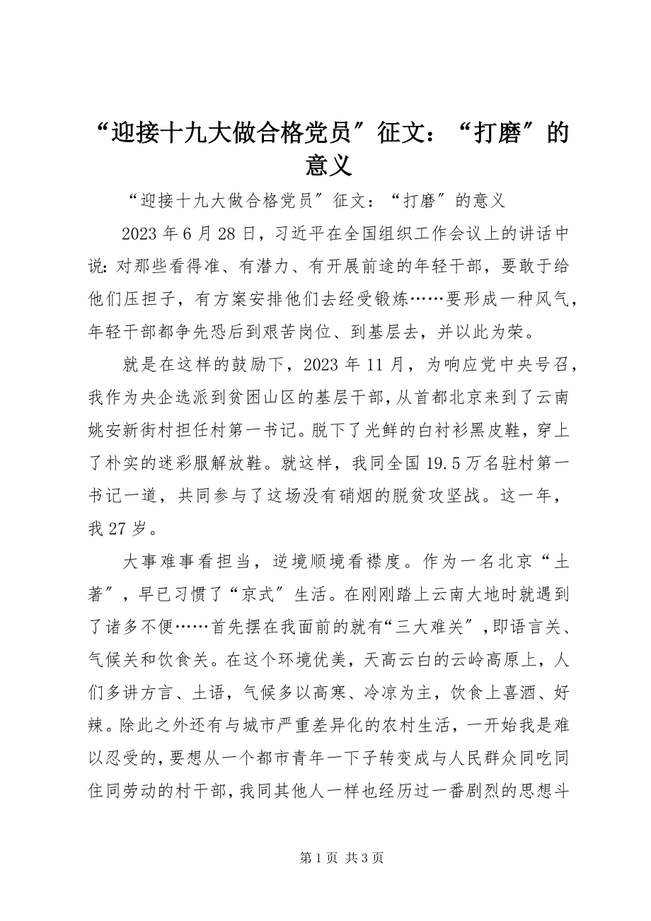 2023年“迎接十九大做合格党员”征文“打磨”的意义.docx_第1页