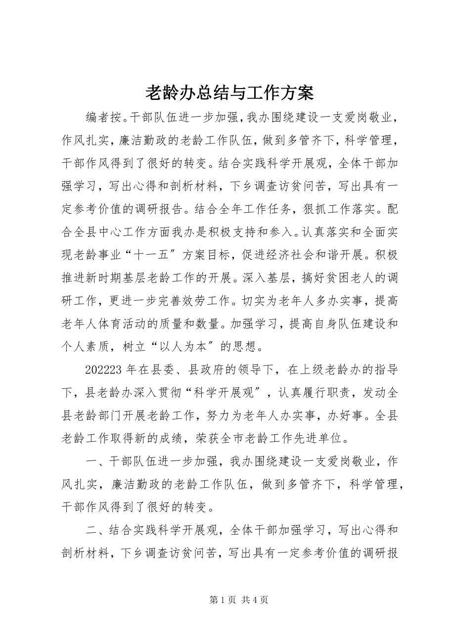 2023年老龄办总结与工作计划.docx_第1页