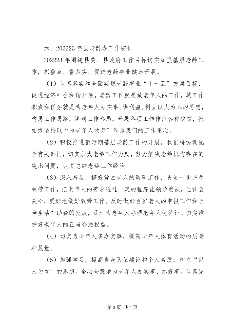 2023年老龄办总结与工作计划.docx_第3页