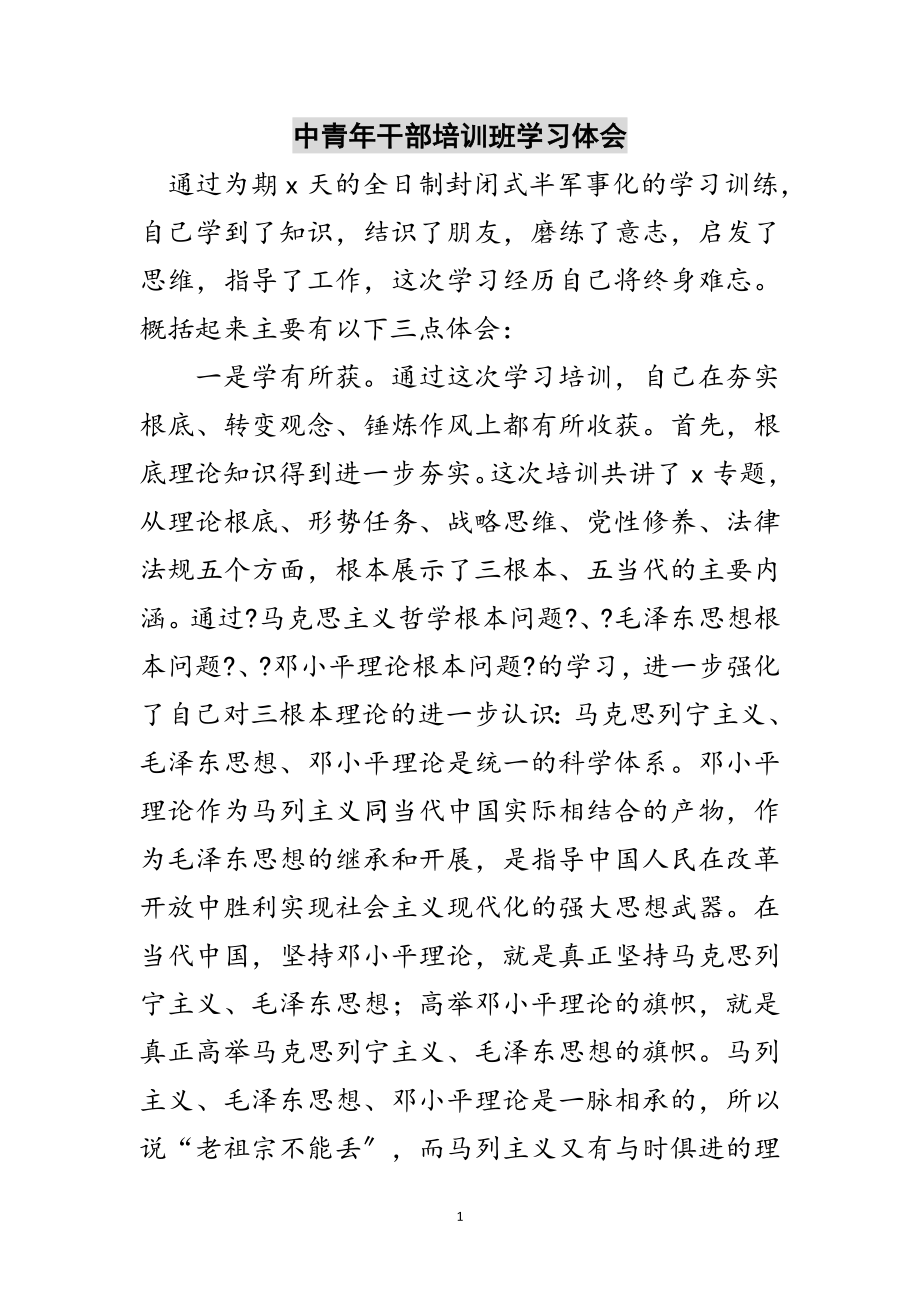 2023年中青年干部培训班学习体会范文.doc_第1页