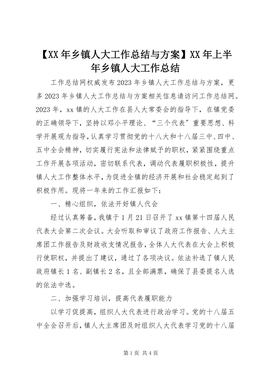 2023年乡镇人大工作总结与计划上半年乡镇人大工作总结.docx_第1页