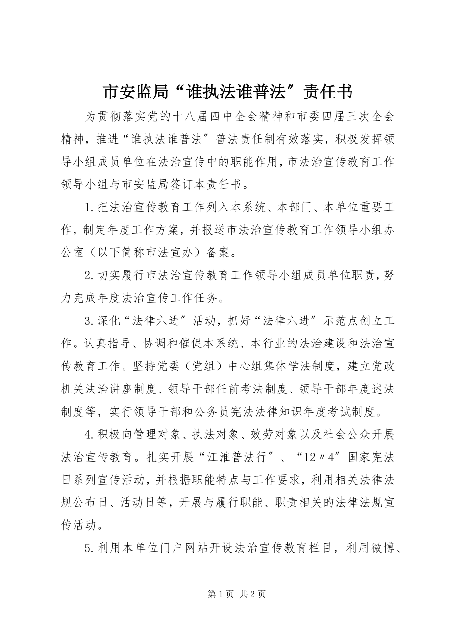 2023年市安监局“谁执法谁普法”责任书.docx_第1页