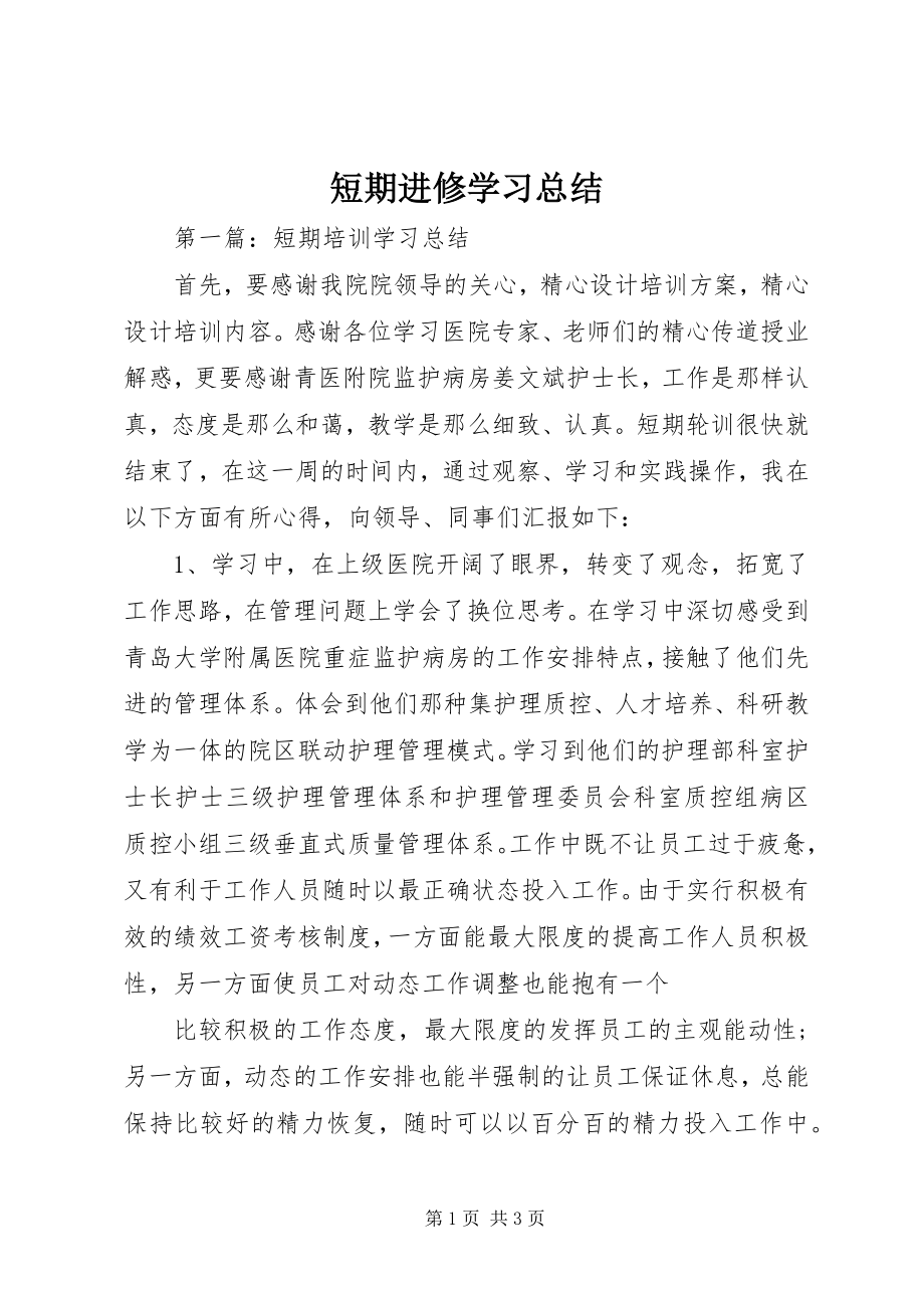 2023年短期进修学习总结.docx_第1页