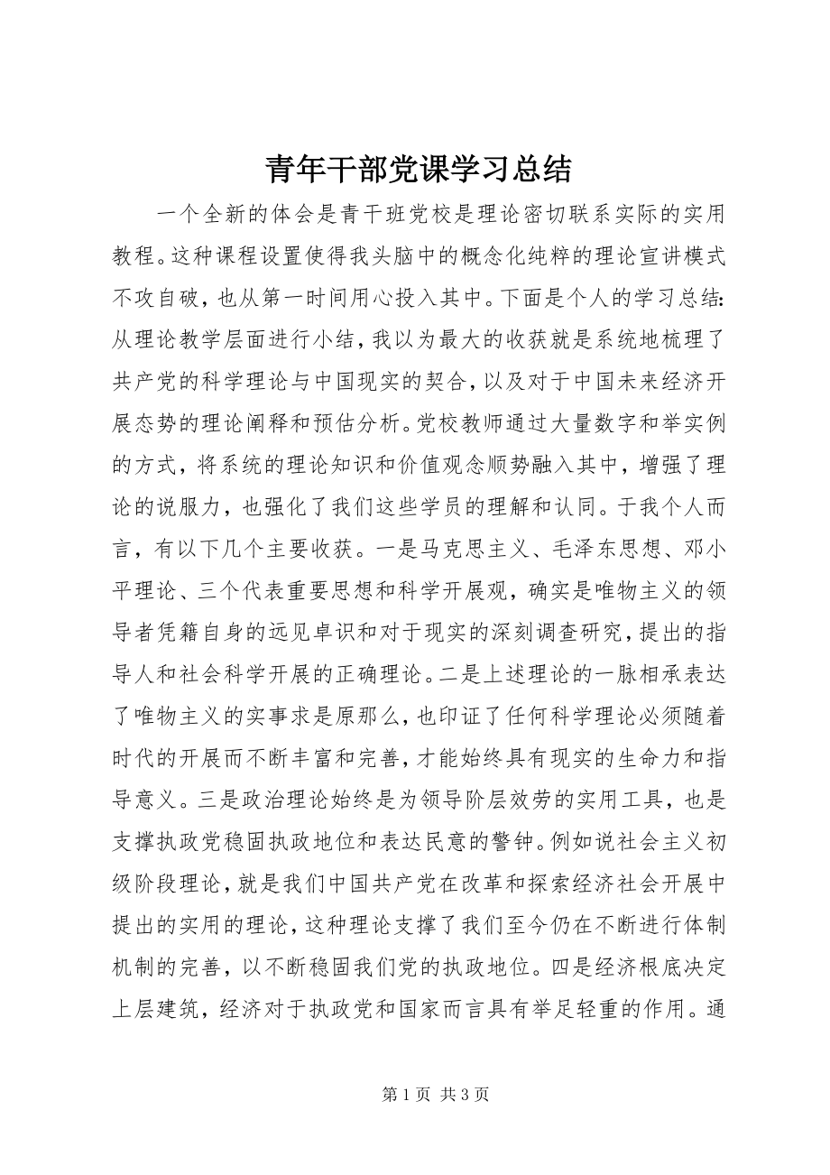 2023年青年干部党课学习总结.docx_第1页