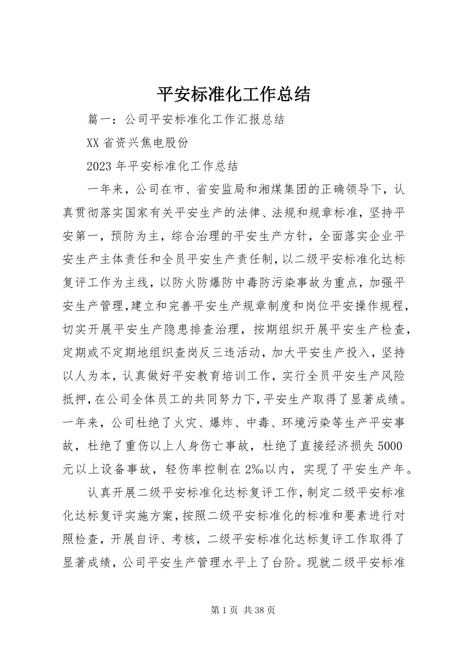 2023年安全标准化工作总结新编.docx_第1页