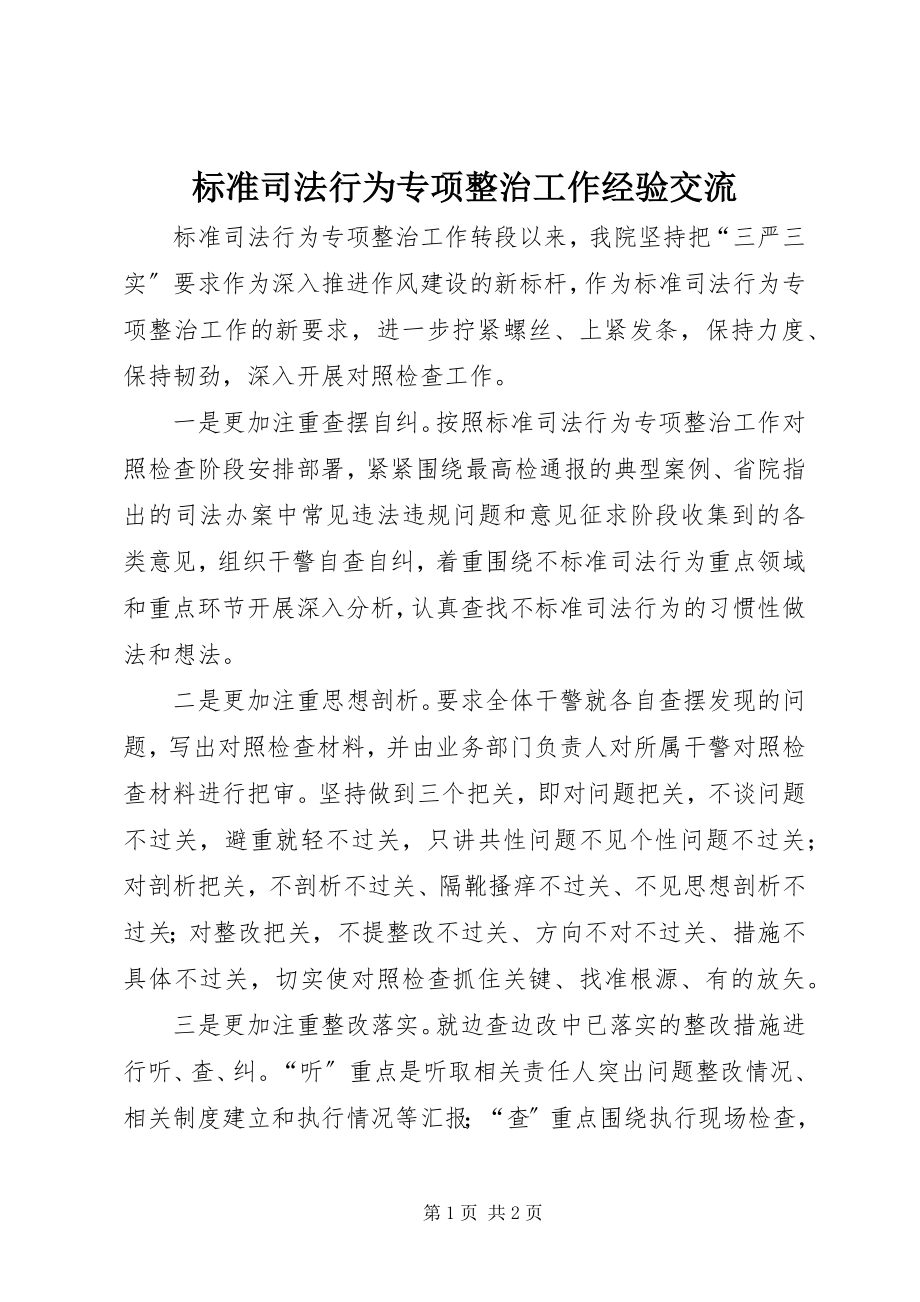 2023年规范司法行为专项整治工作经验交流.docx_第1页