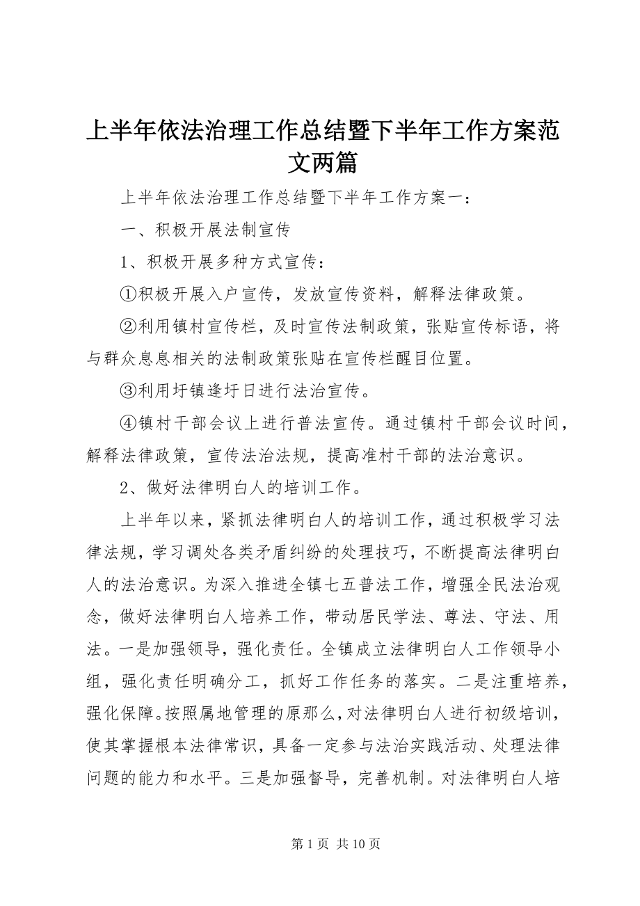 2023年上半年依法治理工作总结暨下半年工作计划两篇.docx_第1页