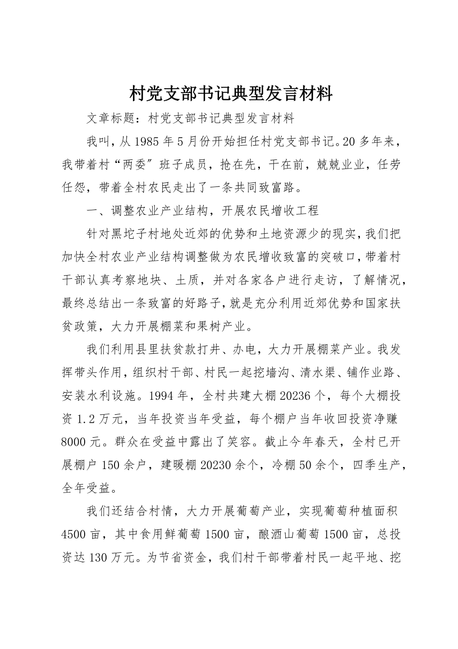 2023年村党支部书记典型讲话材料新编.docx_第1页