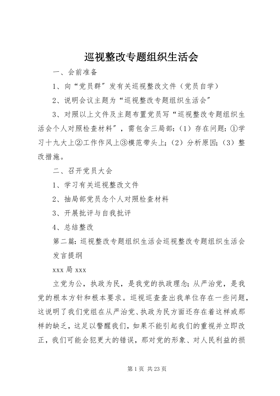 2023年巡视整改专题组织生活会.docx_第1页