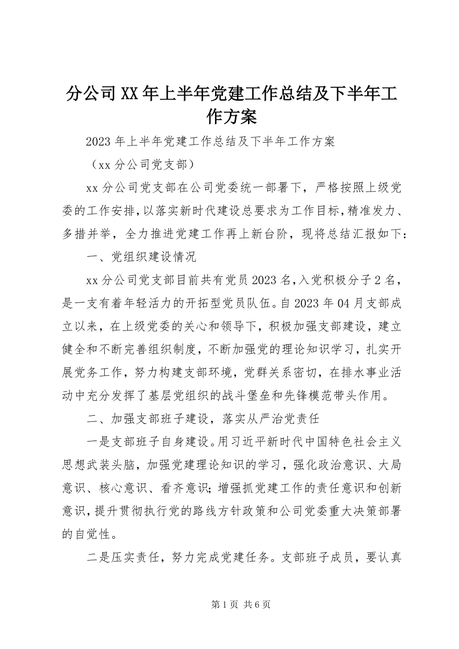 2023年分公司某年上半年党建工作总结及下半年工作计划.docx_第1页