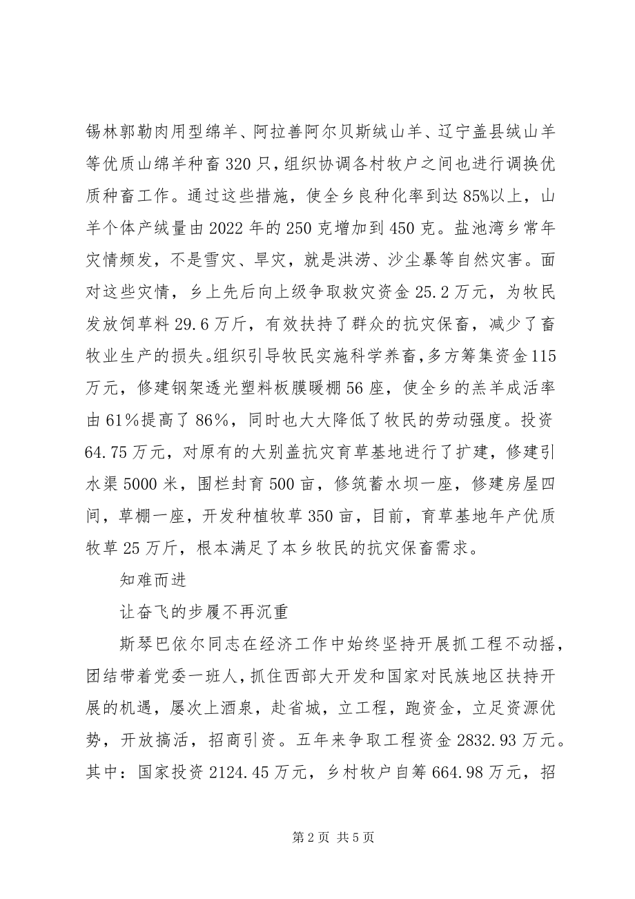 2023年牧区党委书记先进事迹材料.docx_第2页