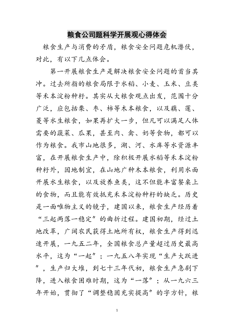 2023年粮食公司题科学发展观心得体会范文.doc_第1页