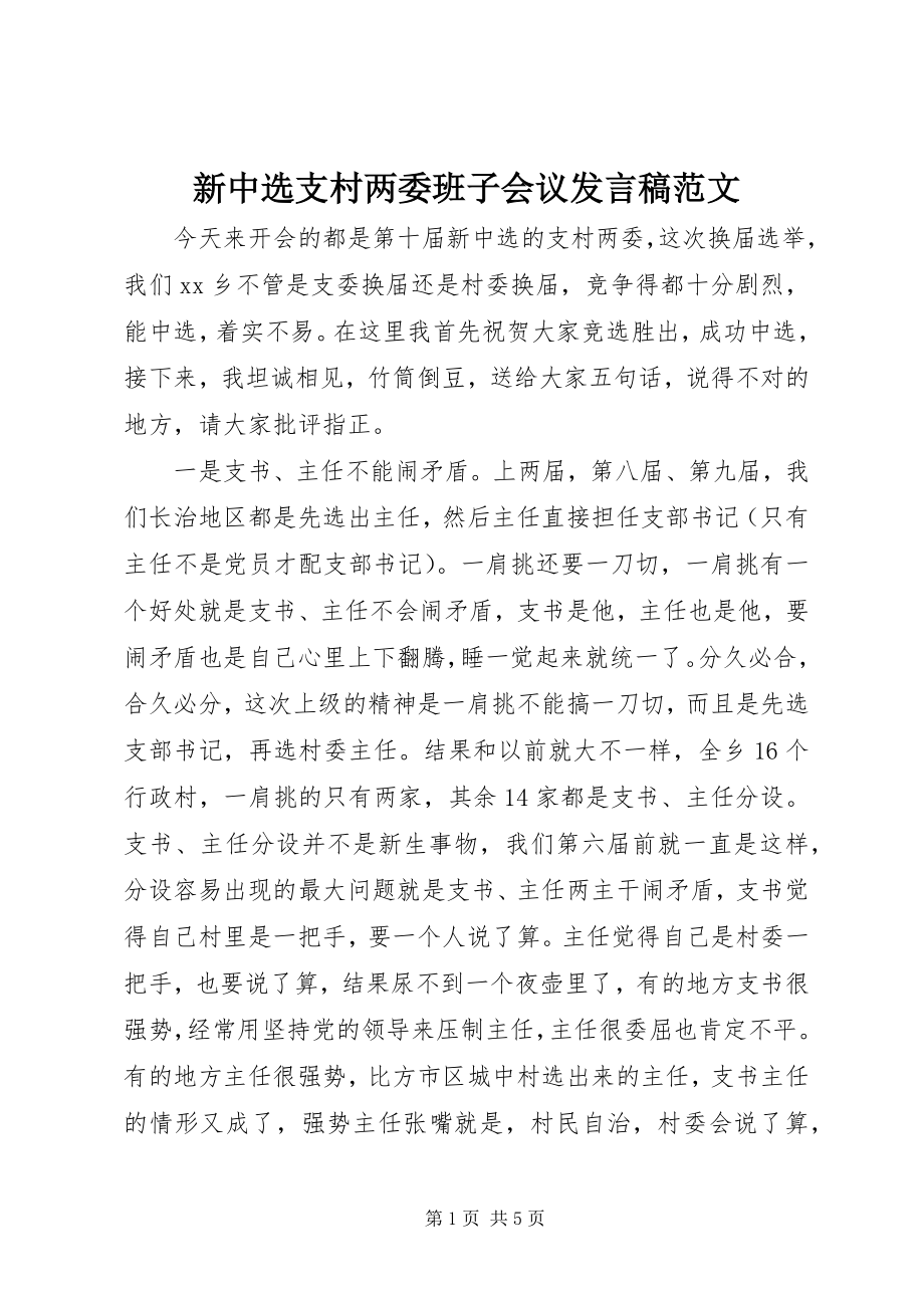 2023年新当选支村两委班子会议讲话稿2.docx_第1页