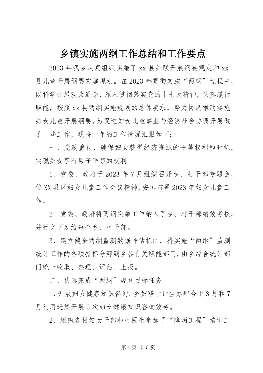 2023年乡镇实施两纲工作总结和工作要点.docx_第1页