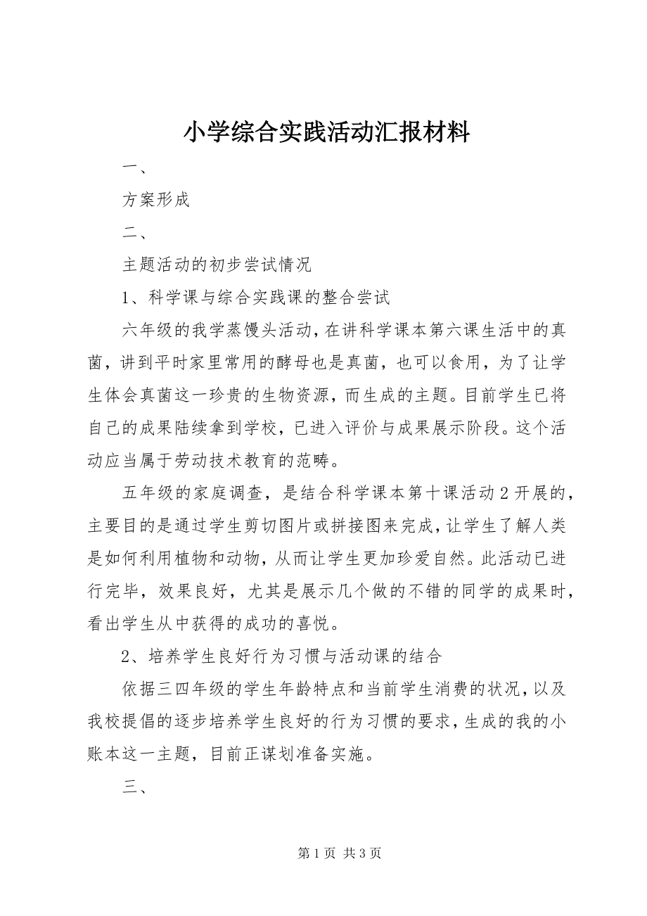 2023年小学综合实践活动汇报材料.docx_第1页