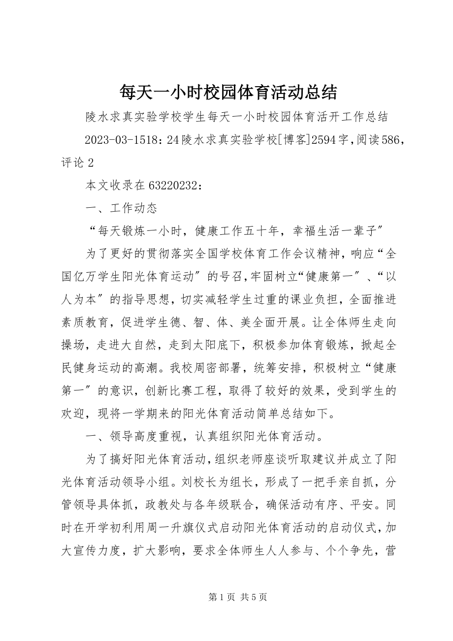 2023年每天一小时校园体育活动总结.docx_第1页