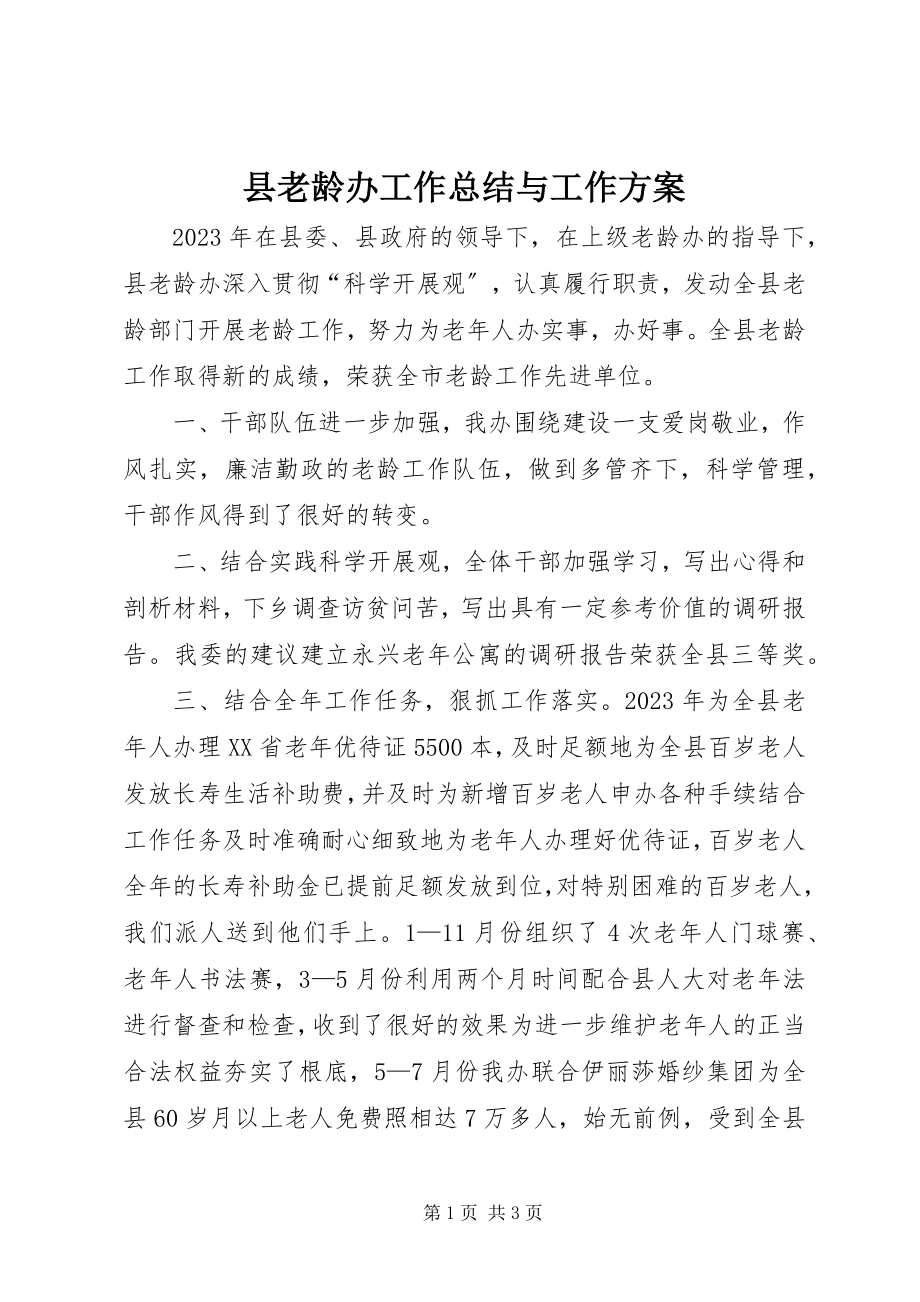 2023年县老龄办工作总结与工作计划.docx_第1页