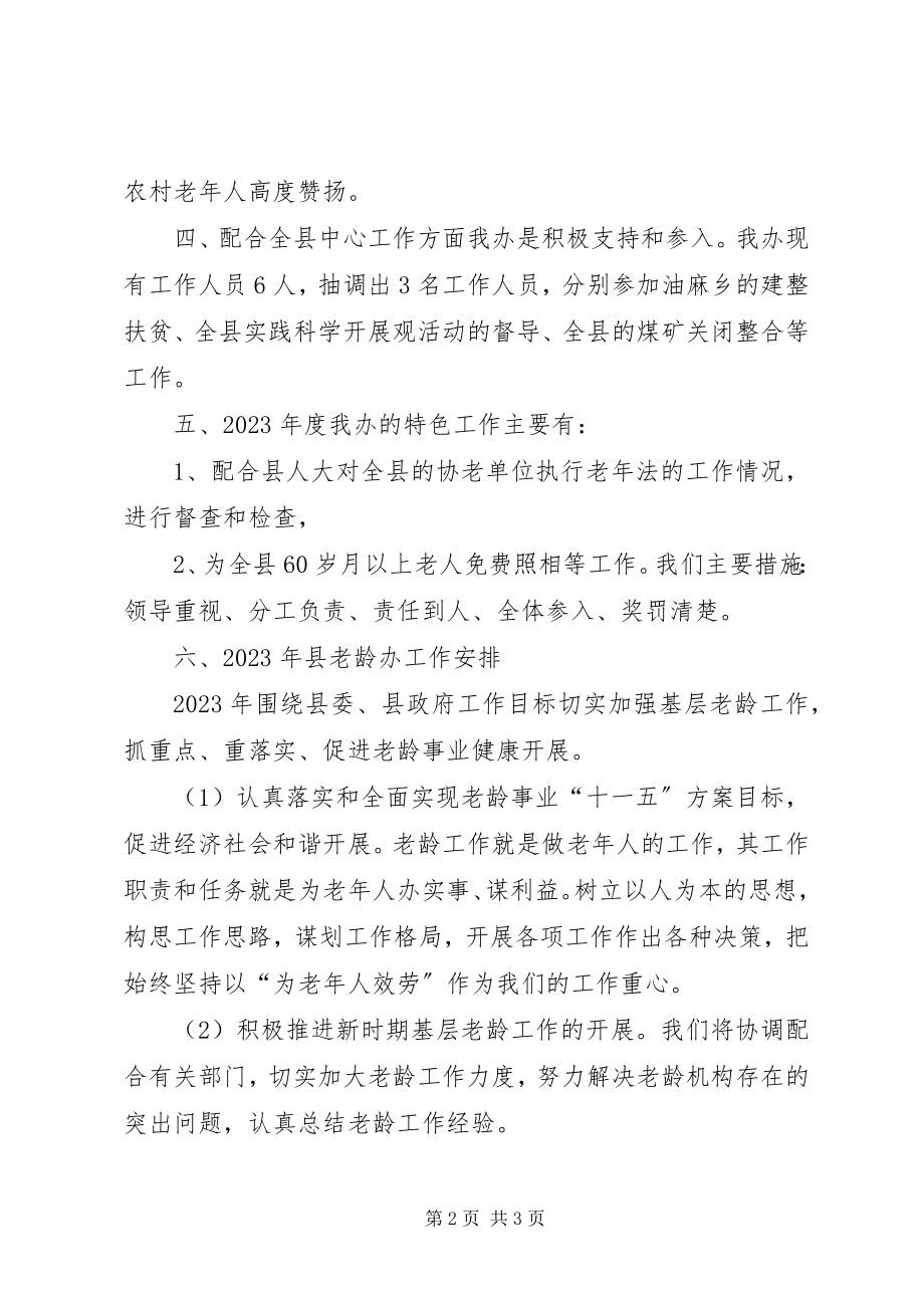 2023年县老龄办工作总结与工作计划.docx_第2页