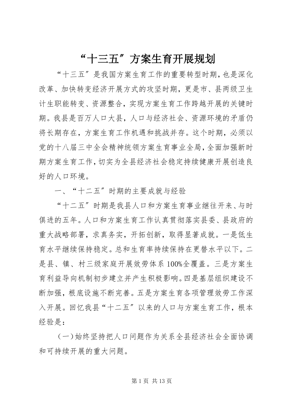 2023年十三五计划生育发展规划.docx_第1页