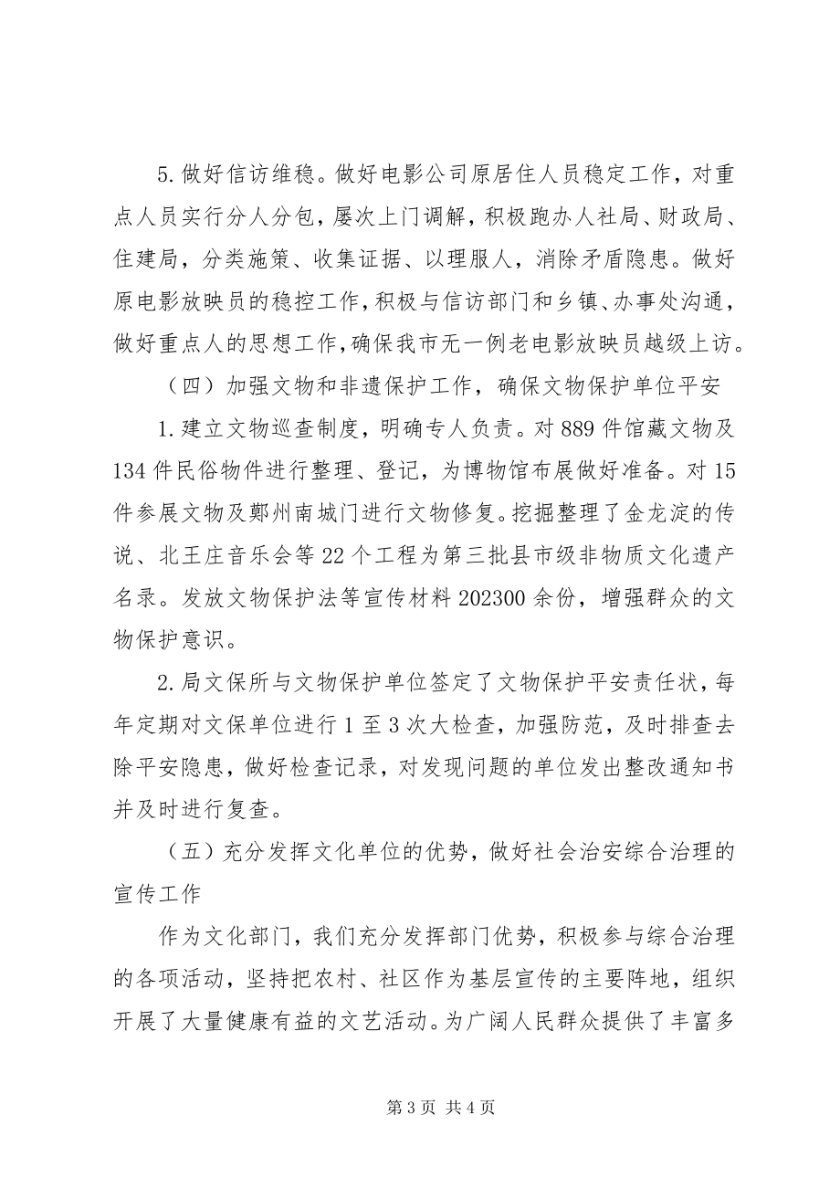 2023年文广新局社会治安综合治理工作总结.docx_第3页