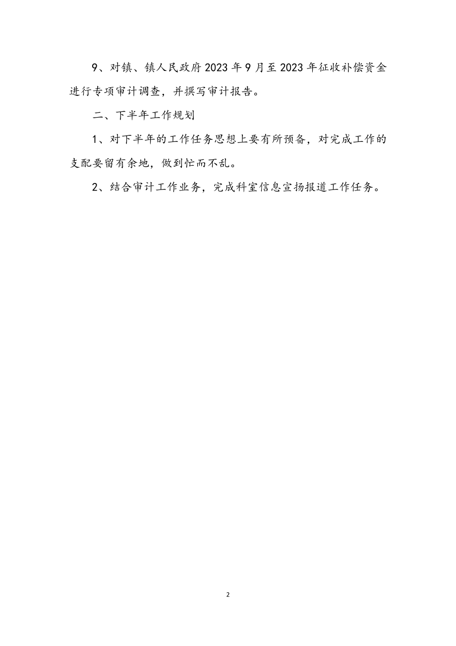 2023年经济责任审计科半年工作总结.docx_第2页