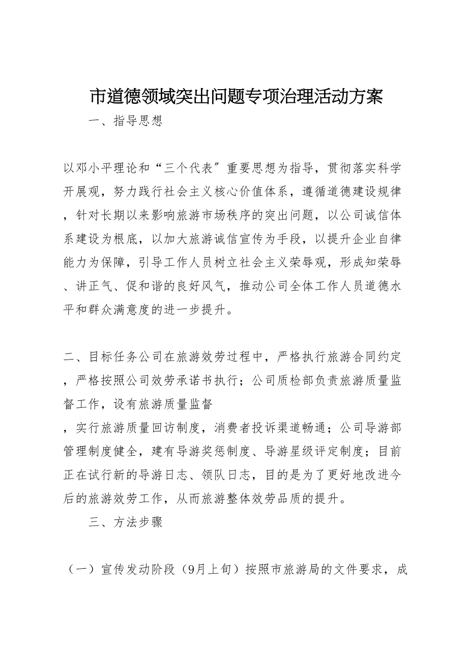 2023年市道德领域突出问题专项治理活动方案.doc_第1页