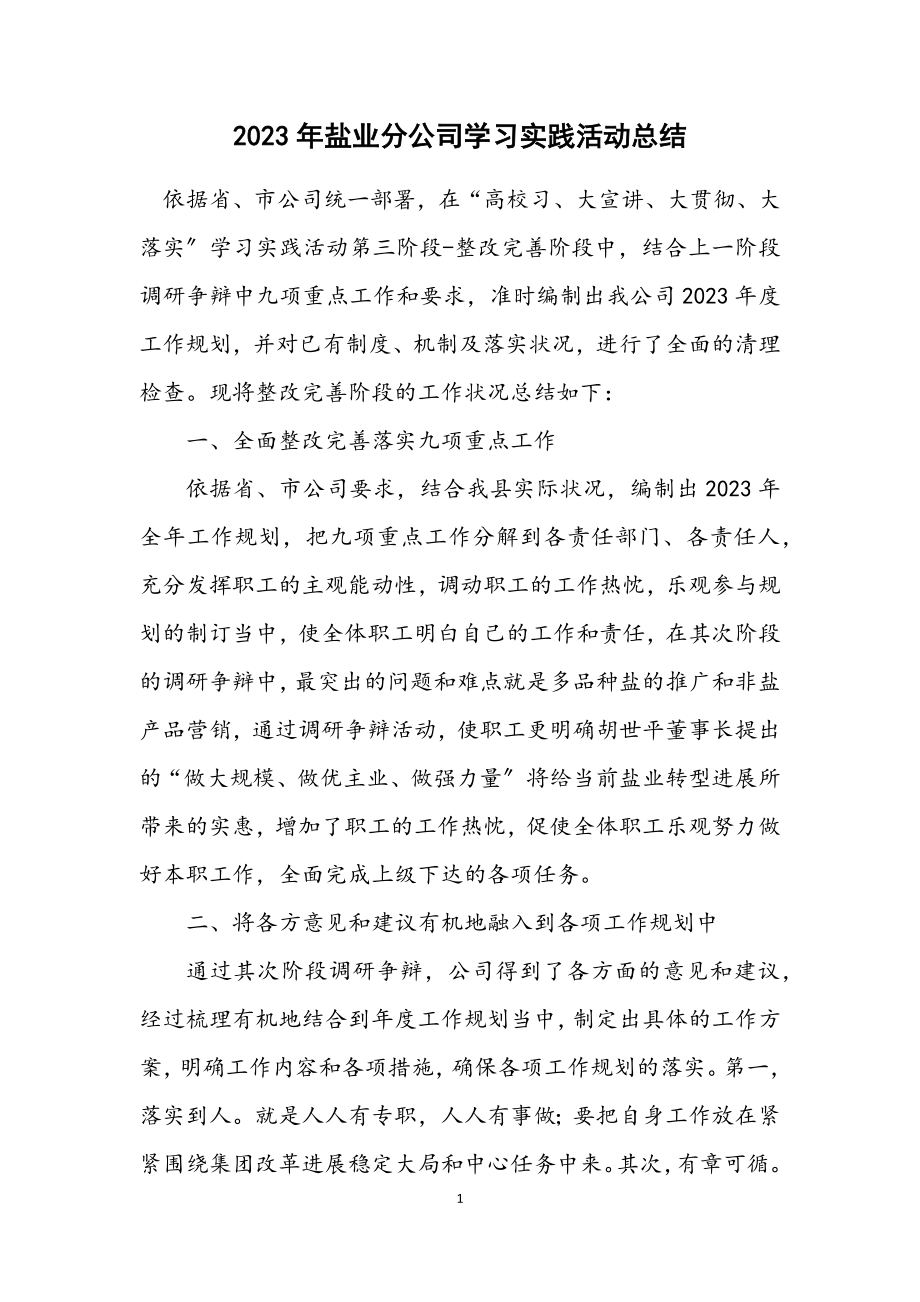 2023年盐业分公司学习实践活动总结.docx_第1页