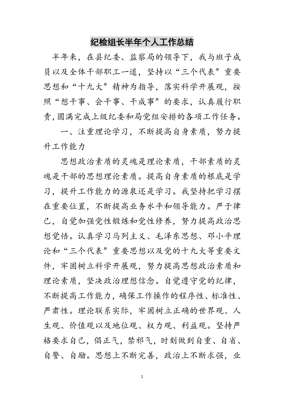 2023年纪检组长半年个人工作总结范文.doc_第1页