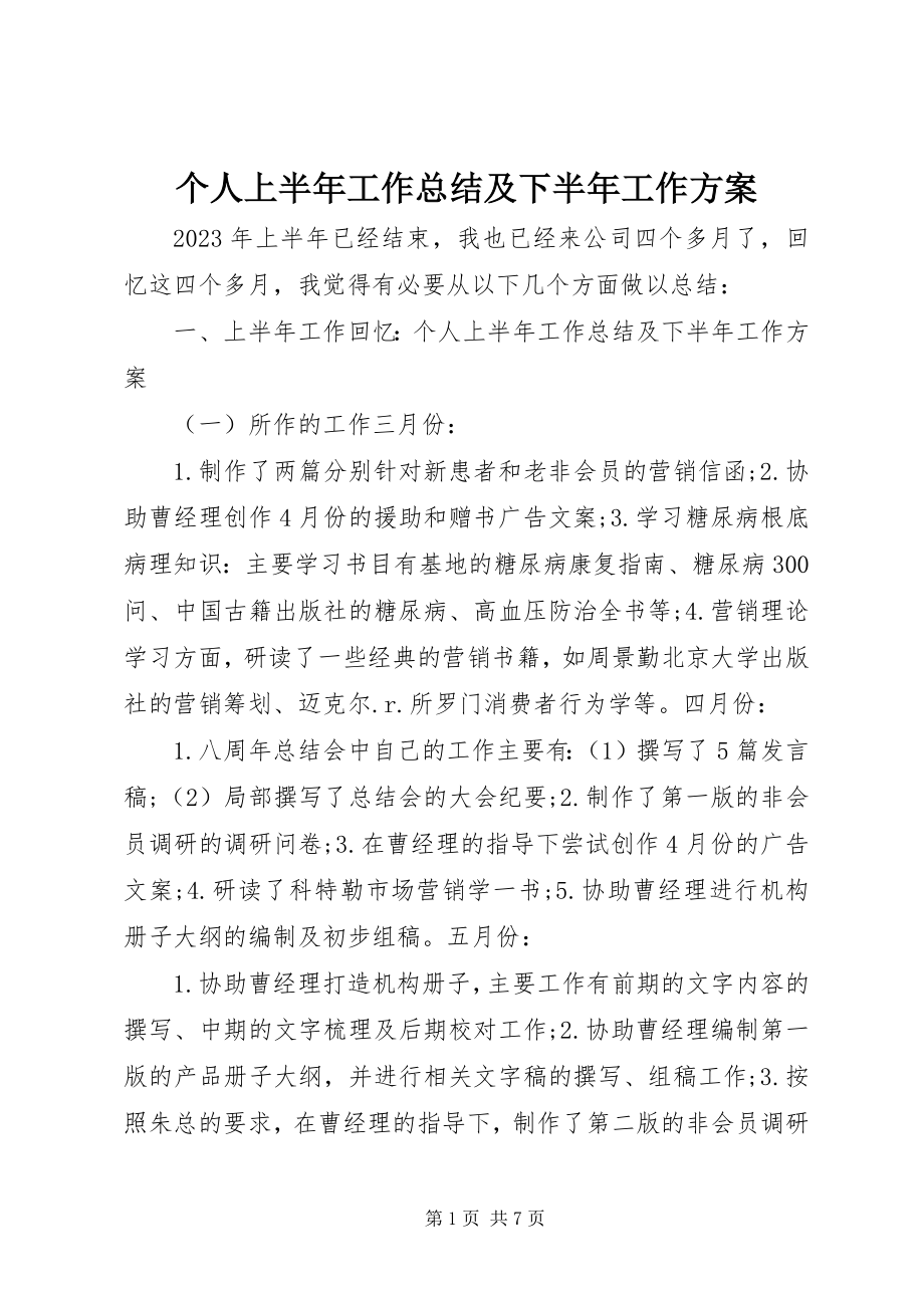 2023年个人上半年工作总结及下半年工作计划.docx_第1页