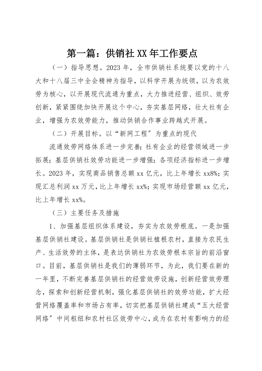 2023年xx供销社某年工作要点新编.docx_第1页