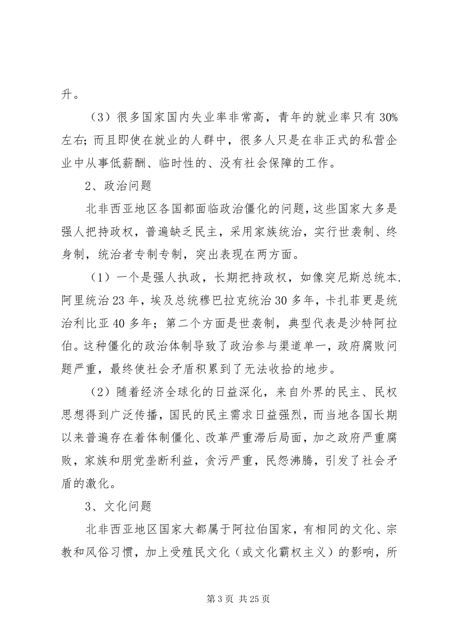 2023年北非西亚局势动荡是由西亚北非的经济新编.docx_第3页