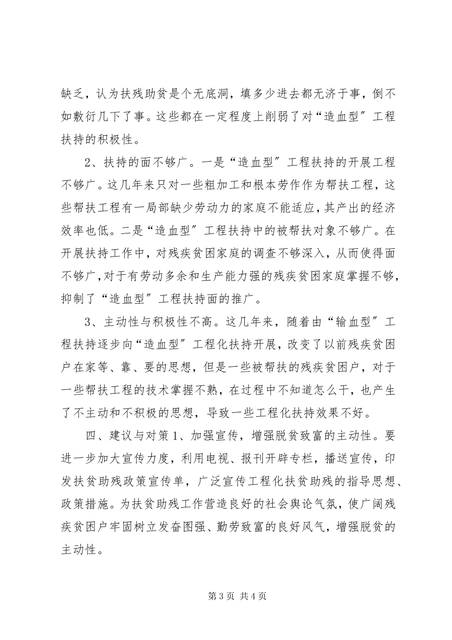 2023年我镇残疾人造血型扶持项目的现状和思考.docx_第3页