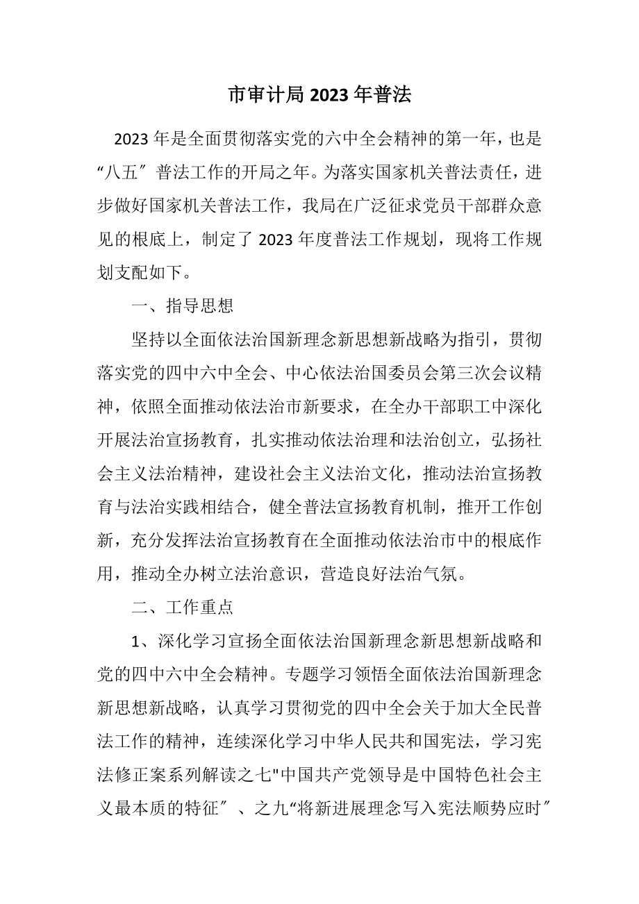 2023年市审计局2023年普法计划.docx_第1页