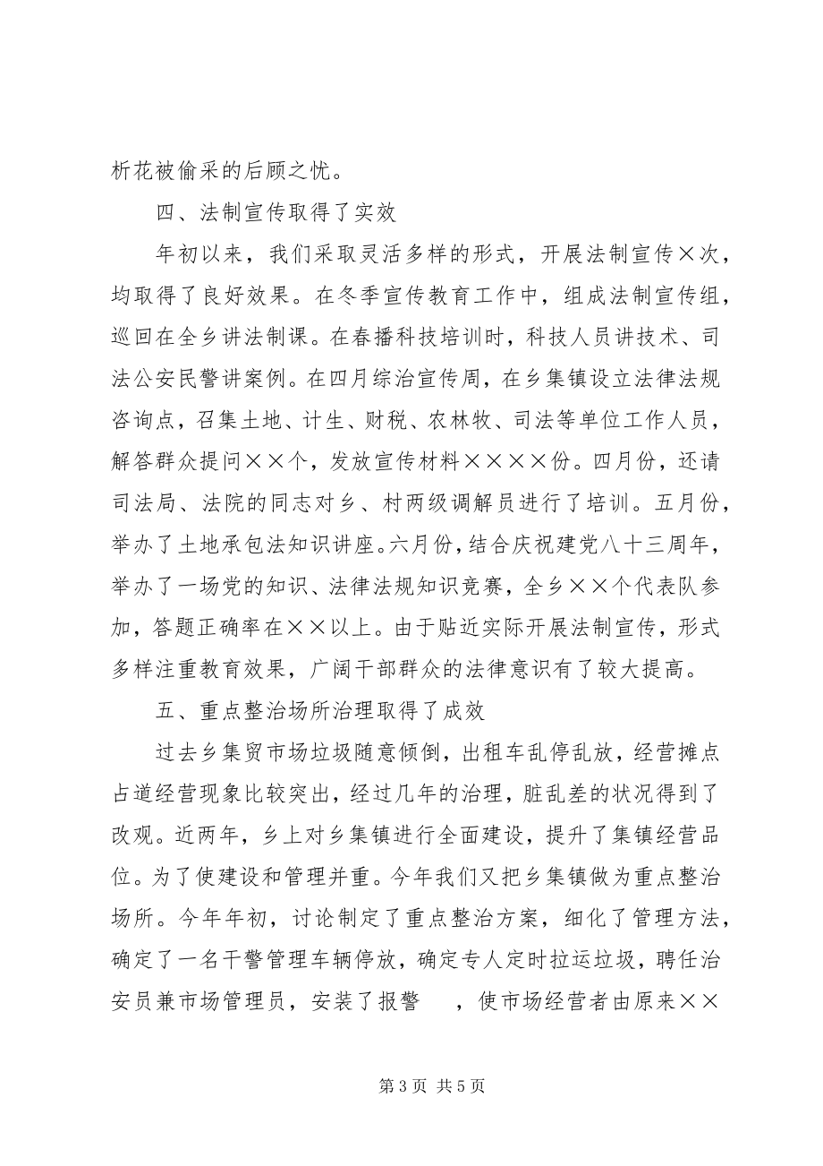 2023年乡镇社会治安综合治理工作总结新编.docx_第3页