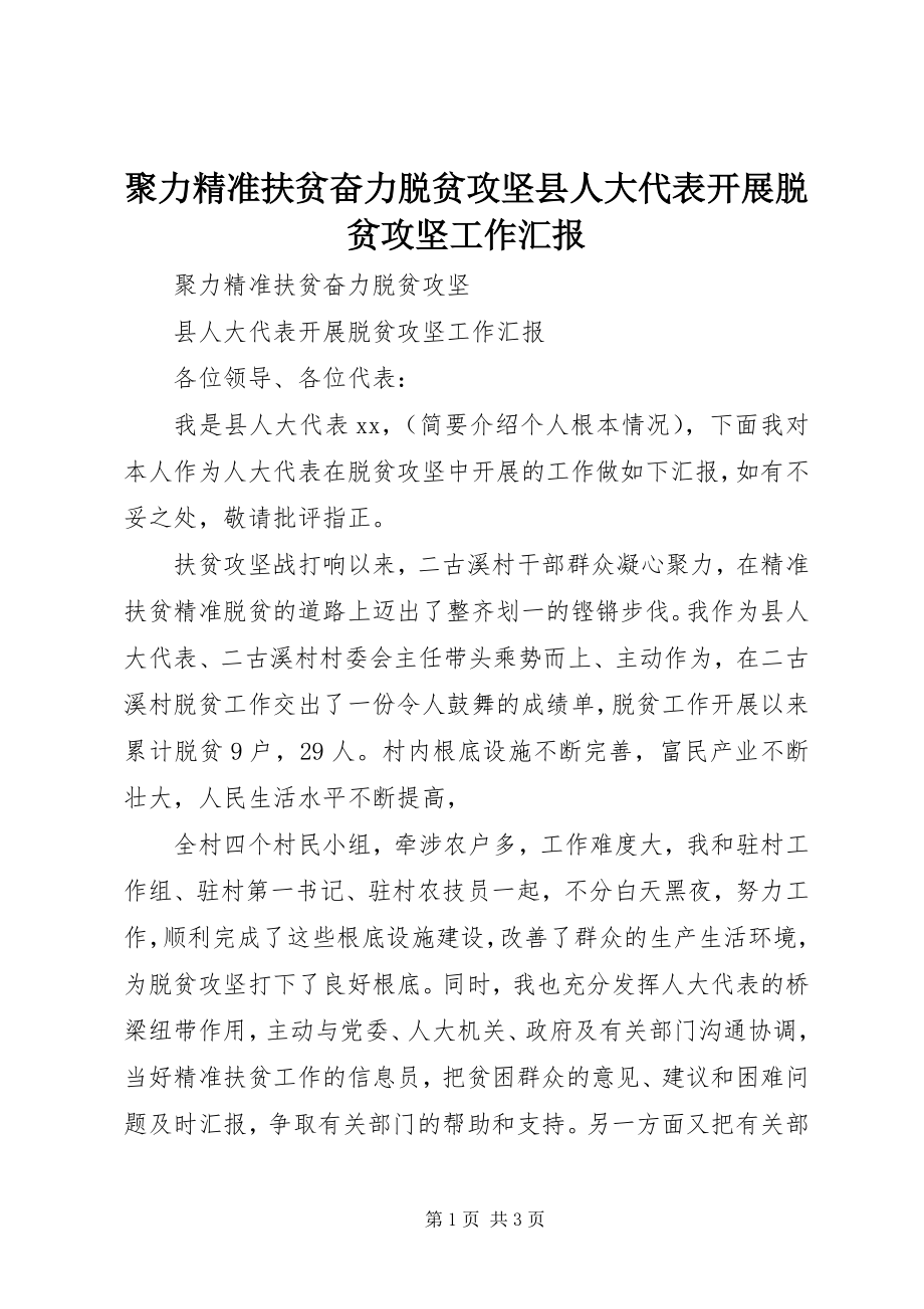 2023年聚力精准扶贫奋力脱贫攻坚县人大代表开展脱贫攻坚工作汇报.docx_第1页