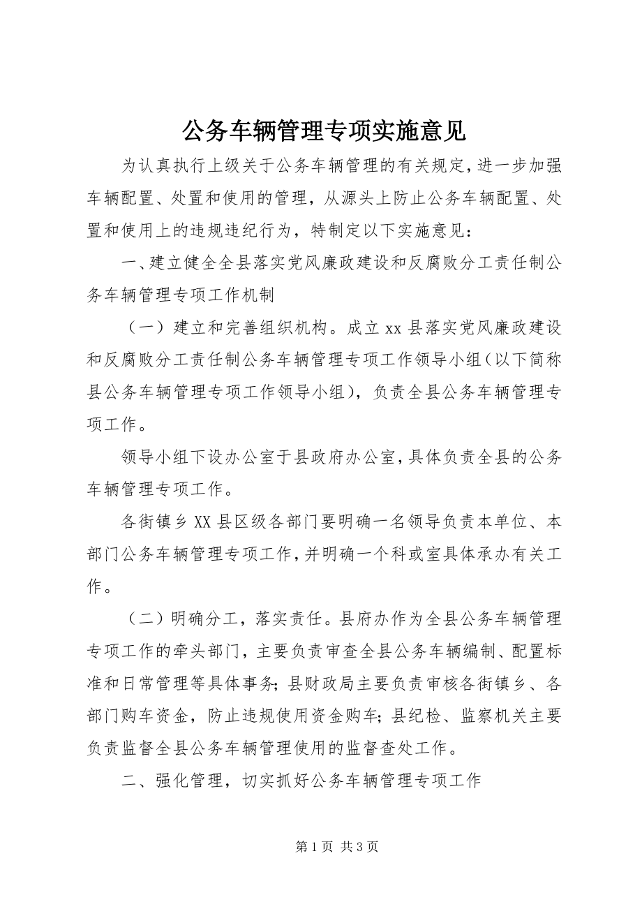 2023年公务车辆管理专项实施意见.docx_第1页