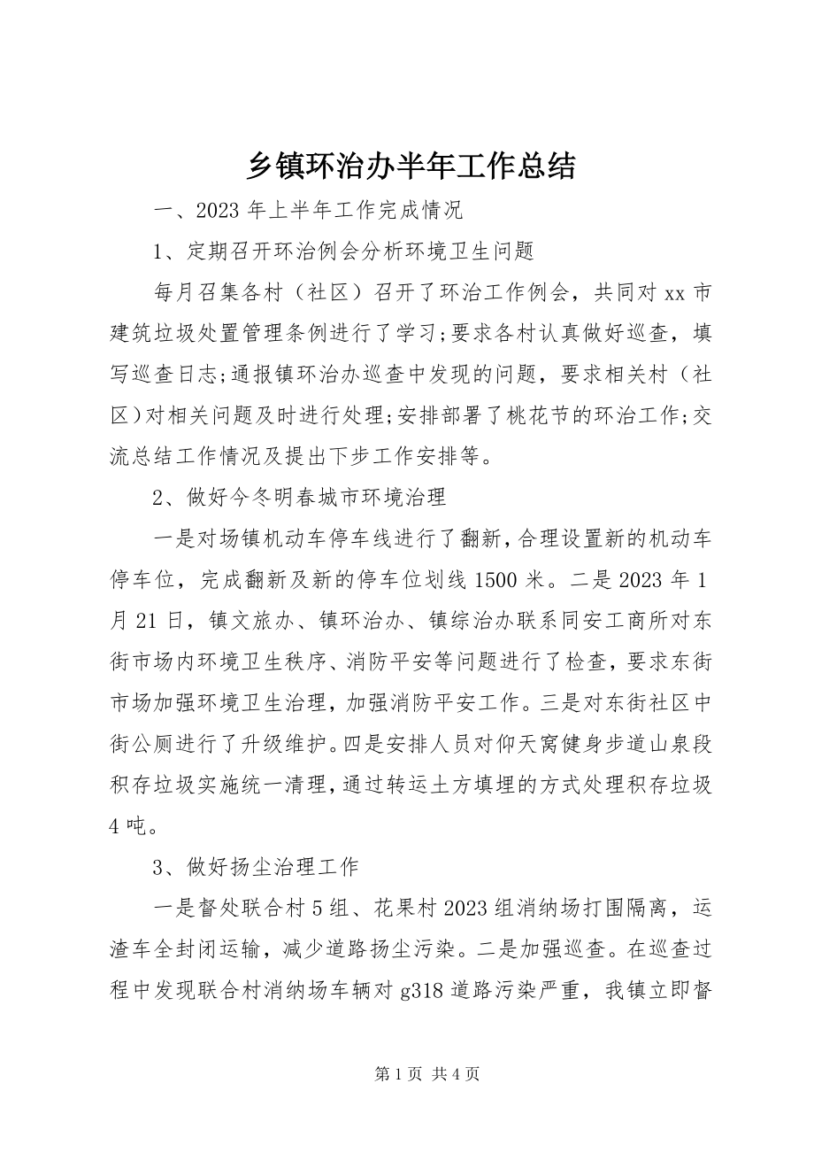 2023年乡镇环治办半年工作总结.docx_第1页