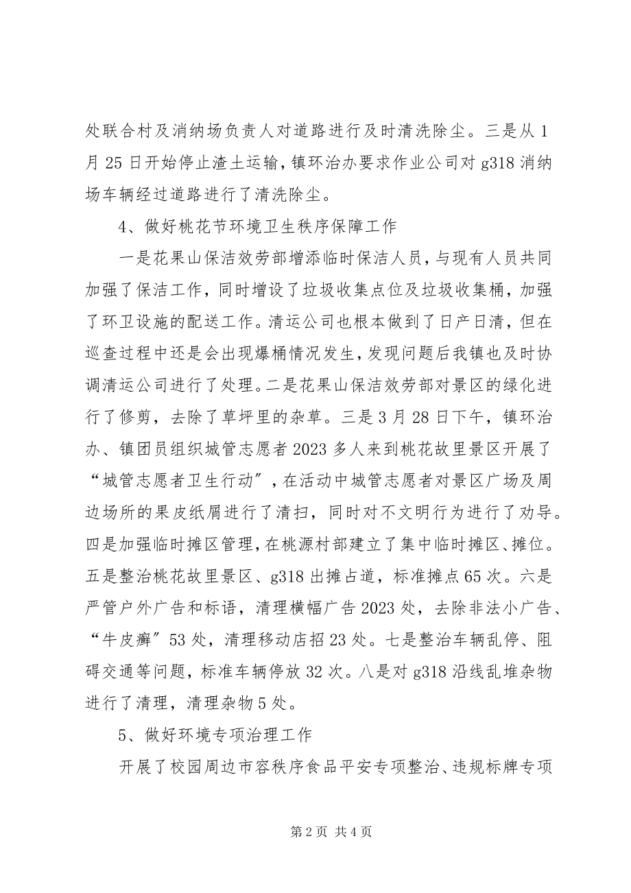 2023年乡镇环治办半年工作总结.docx_第2页