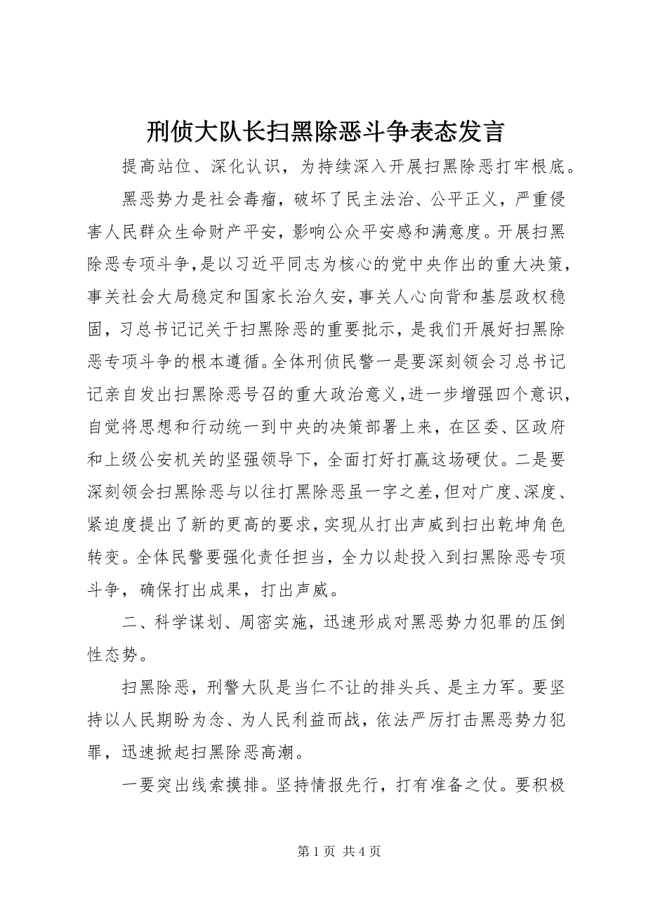 2023年刑侦大队长扫黑除恶斗争表态讲话.docx_第1页